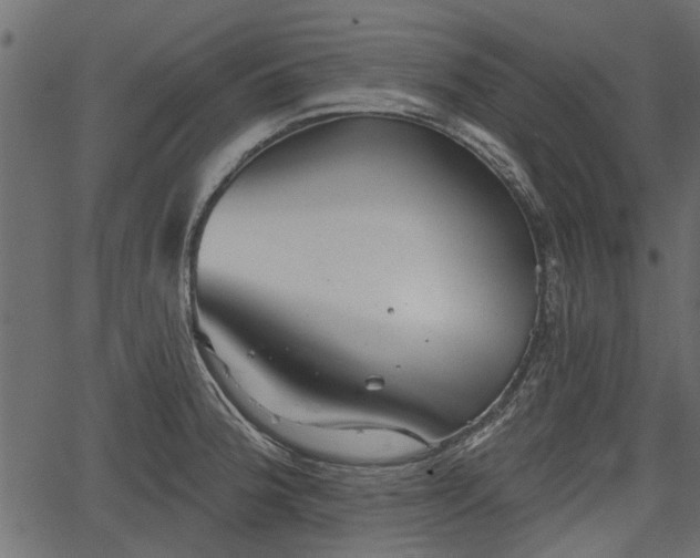 X0000066931188200603311344