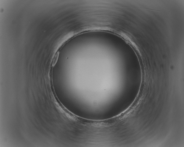 X0000066931189200603311344