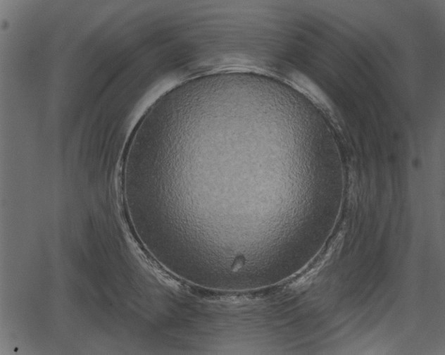 X0000066931190200603311344