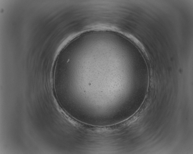 X0000066931191200603311344