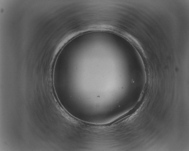 X0000066931192200603311344