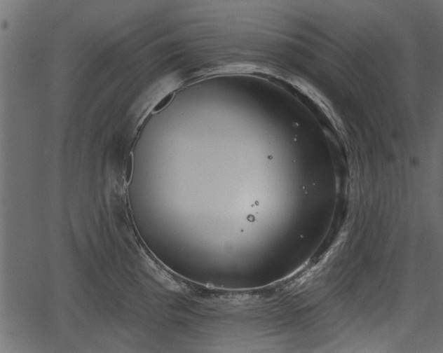 X0000066931193200603311344