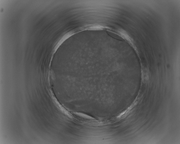 X0000066931194200603311344