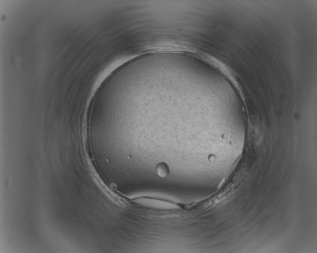 X0000066931195200603311344