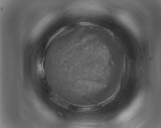 X0000066931198200603311344