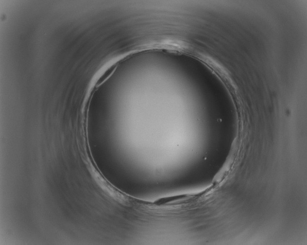 X0000066931200200603311344