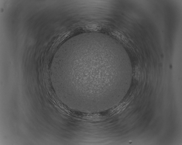 X0000066931201200603311343