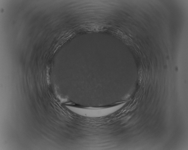 X0000066931202200603311343