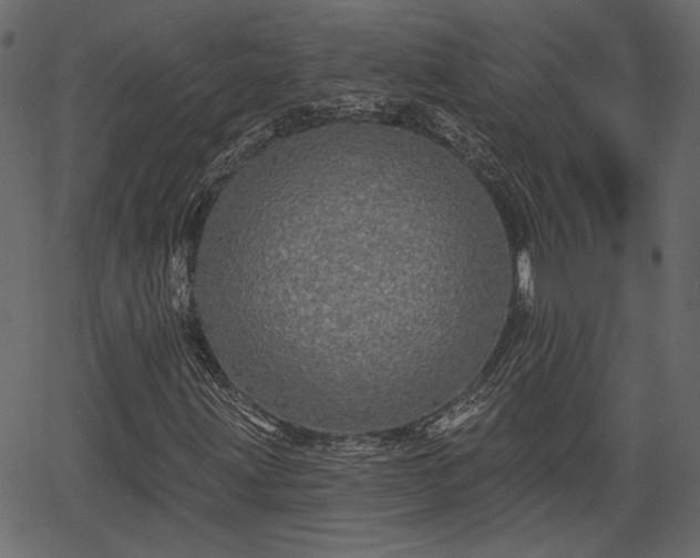 X0000066931203200603311343