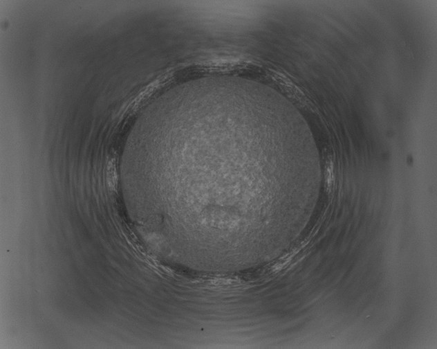 X0000066931204200603311343