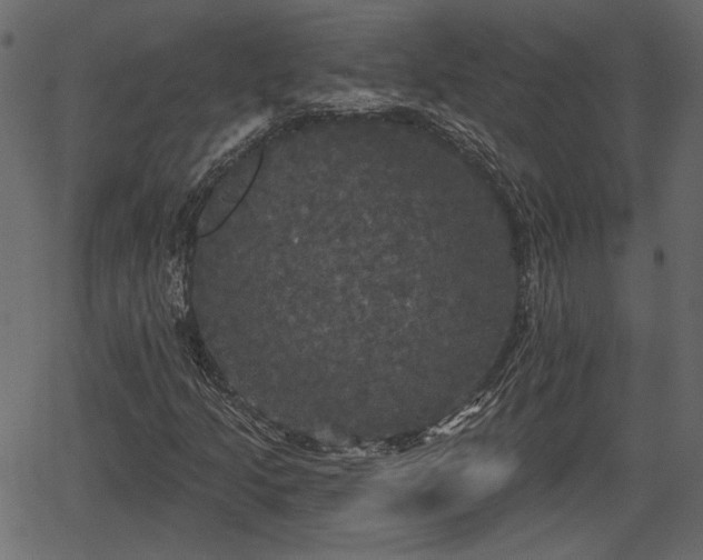 X0000066931205200603311343