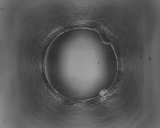 X0000066931206200603311343