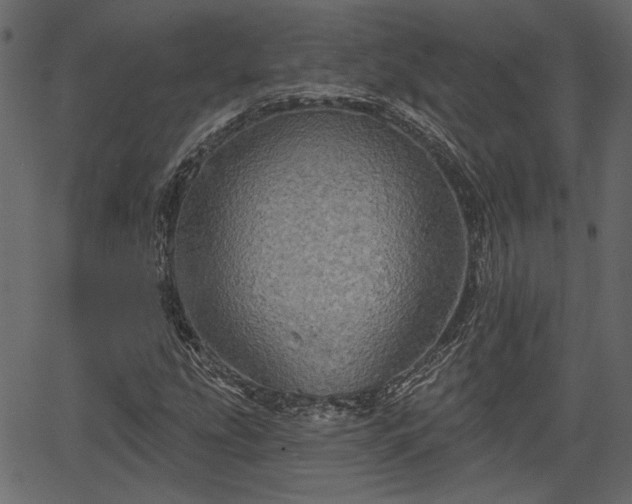 X0000066931207200603311343