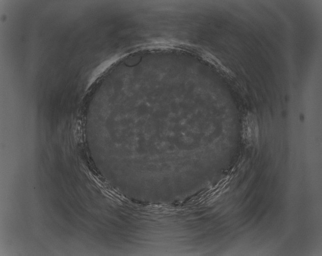 X0000066931208200603311343