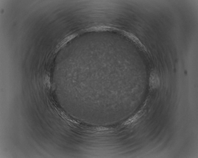 X0000066931209200603311343