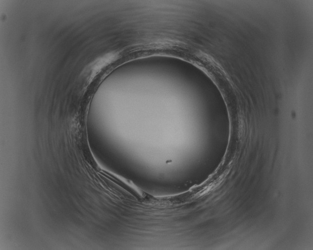 X0000066931210200603311343