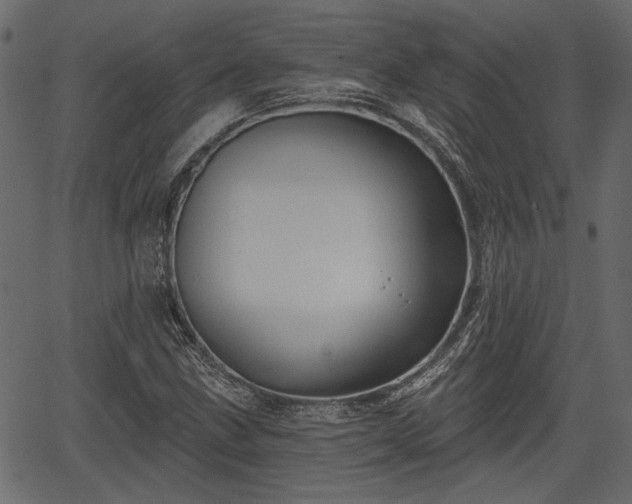 X0000066931211200603311343