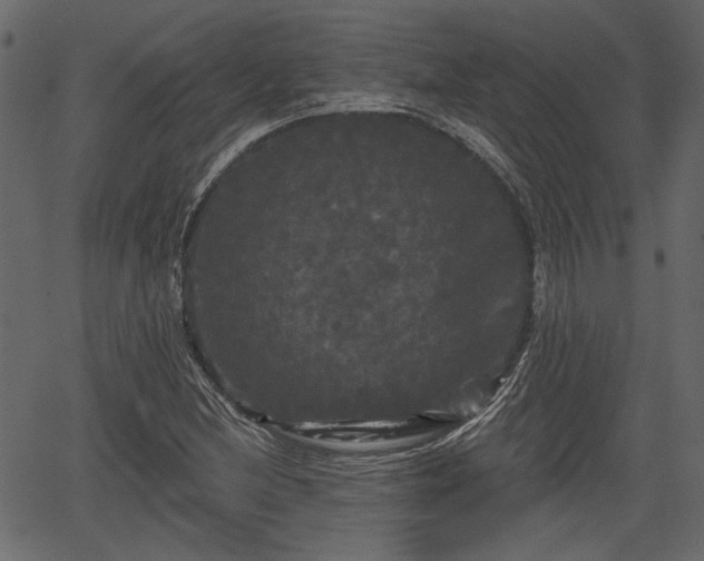 X0000066931212200603311343