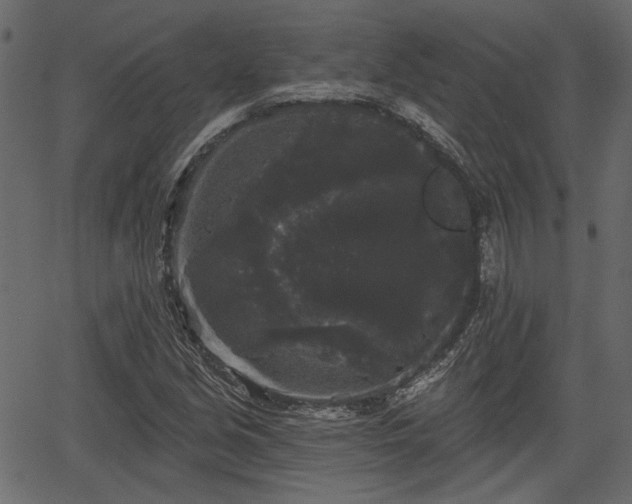 X0000066931213200603311343