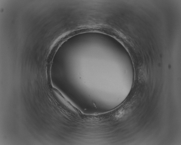 X0000066931214200603311343