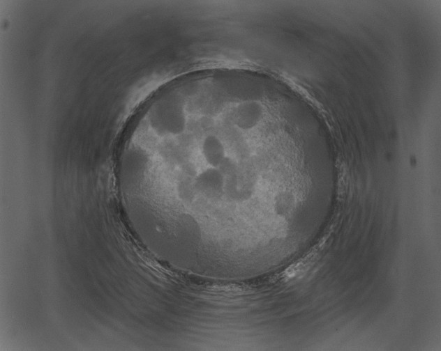 X0000066931215200603311343