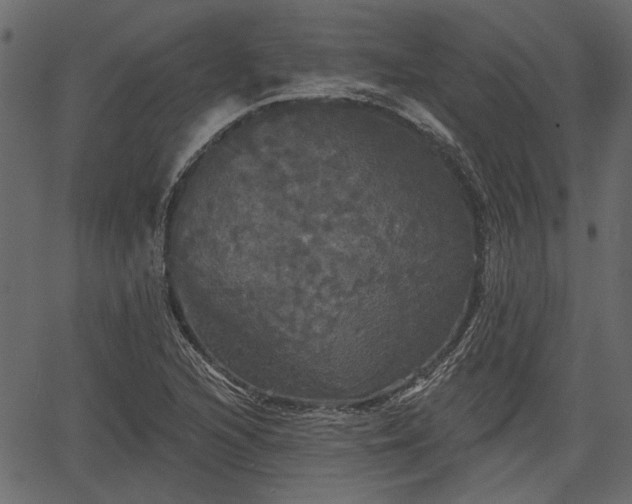 X0000066931216200603311343