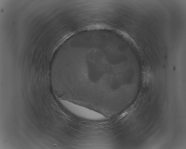 X0000066931217200603311343