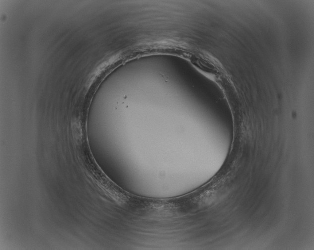 X0000066931218200603311343