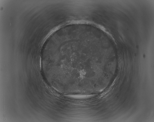 X0000066931221200603311343