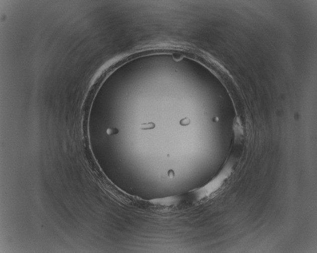 X0000066931222200603311343