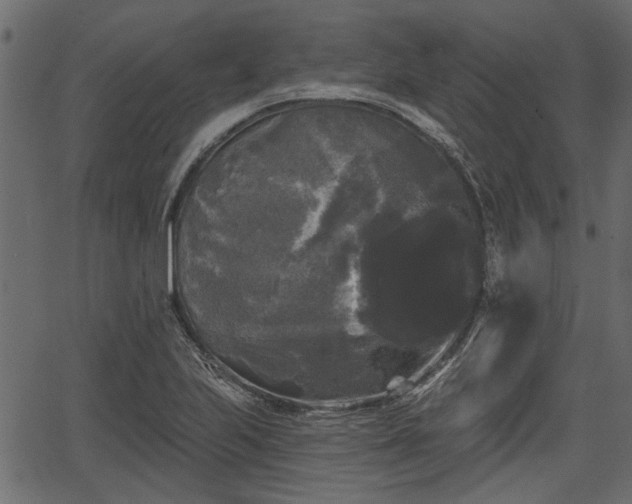 X0000066931223200603311343