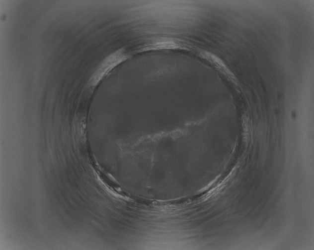 X0000066931225200603311344