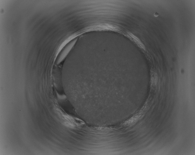 X0000066931226200603311344