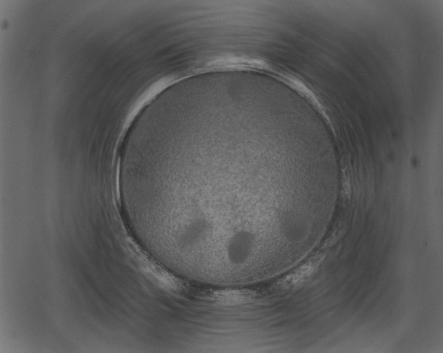 X0000066931227200603311344