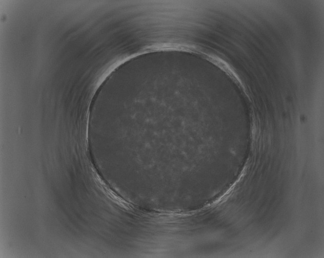 X0000066931228200603311344