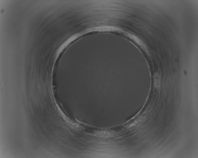 X0000066931229200603311344