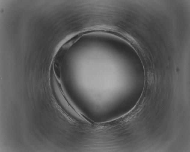 X0000066931230200603311344