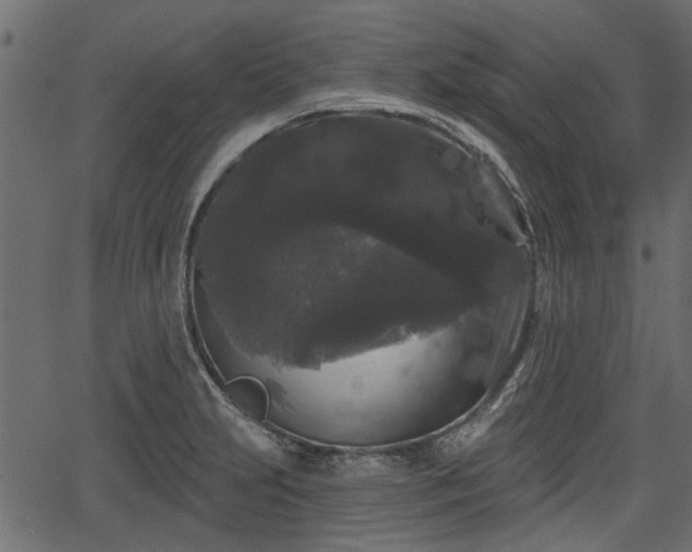 X0000066931231200603311344