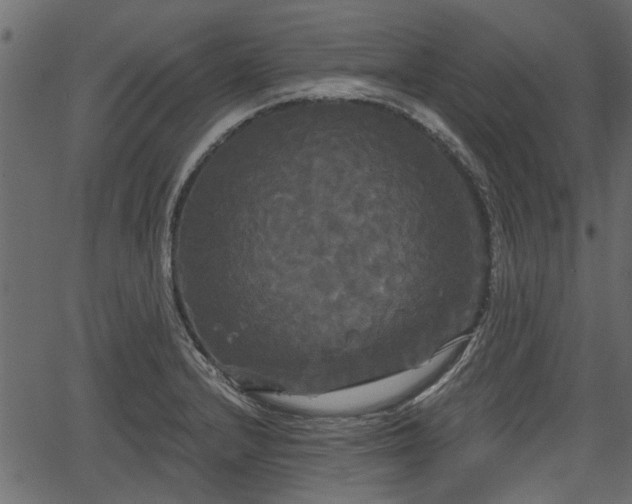 X0000066931232200603311344