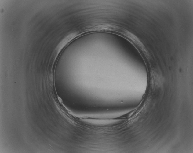 X0000066931234200603311344