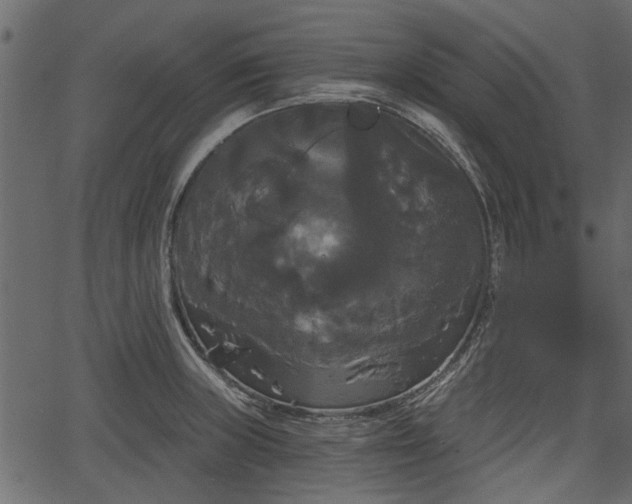 X0000066931235200603311344