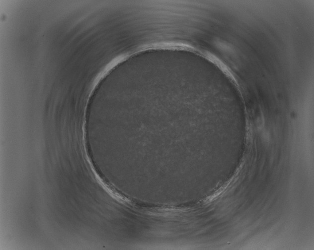 X0000066931237200603311344