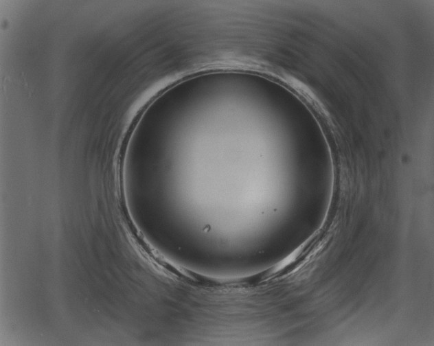 X0000066931238200603311344