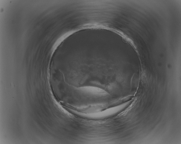 X0000066931239200603311344