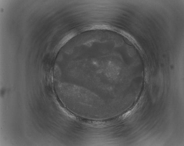 X0000066931241200603311344