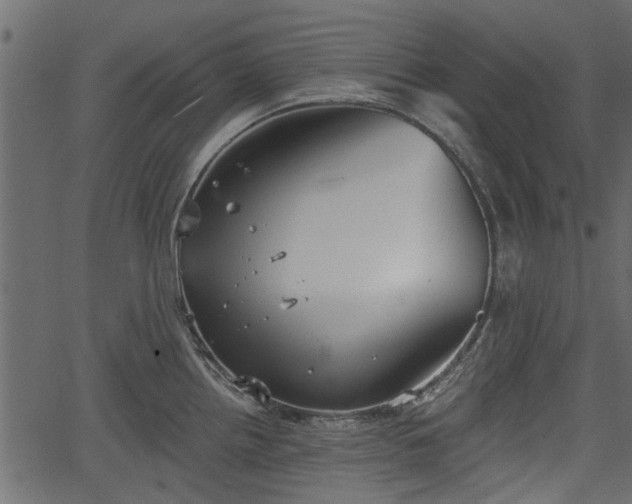 X0000066931242200603311344