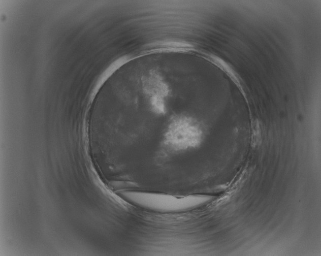 X0000066931243200603311344