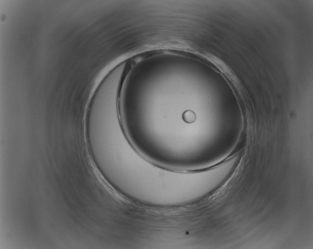 X0000066931246200603311344