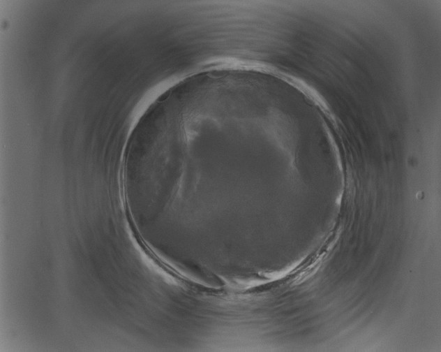 X0000066931247200603311344