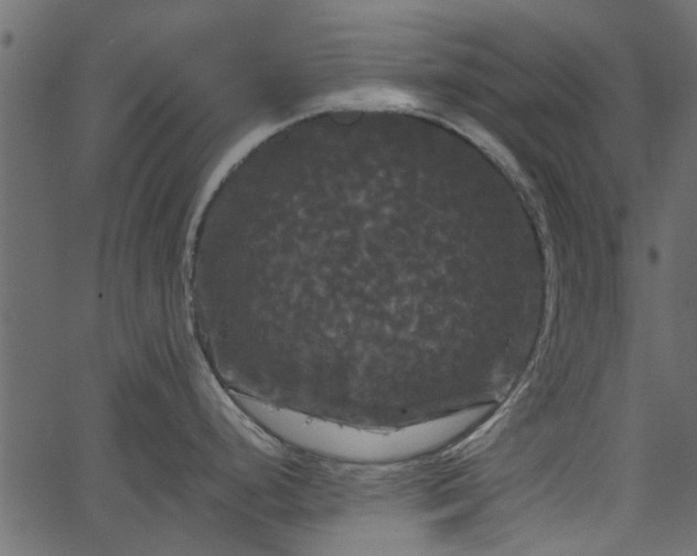 X0000066931248200603311344